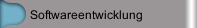 Softwareentwicklung