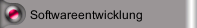 Softwareentwicklung